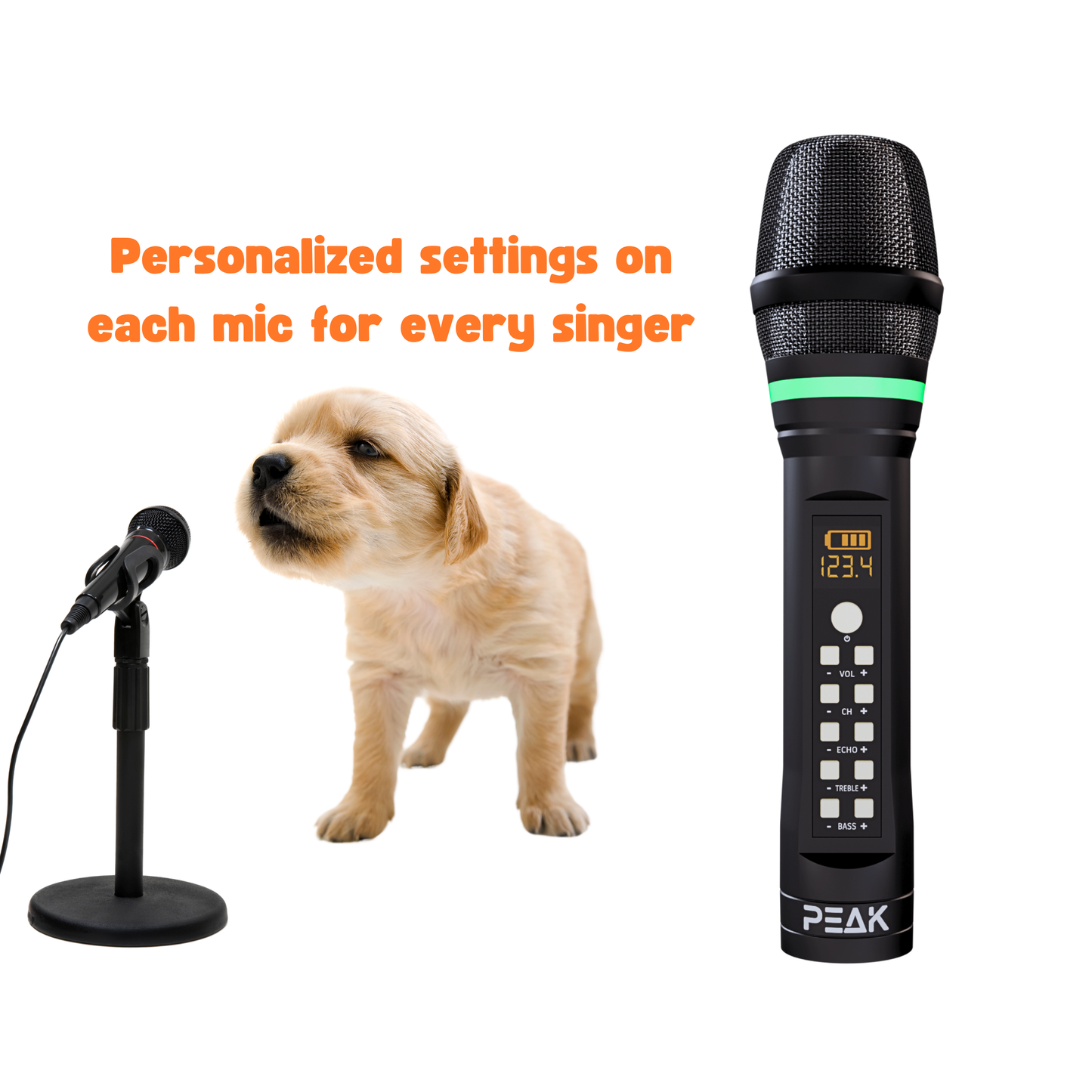 ELITE Premium Stage II Bluetooth Karaoke System - 2000W