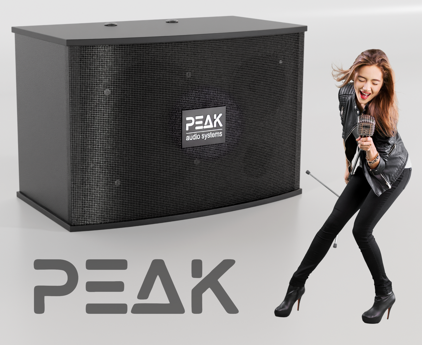 ELITE Premium Stage I System with Echo and EQ- 1200W