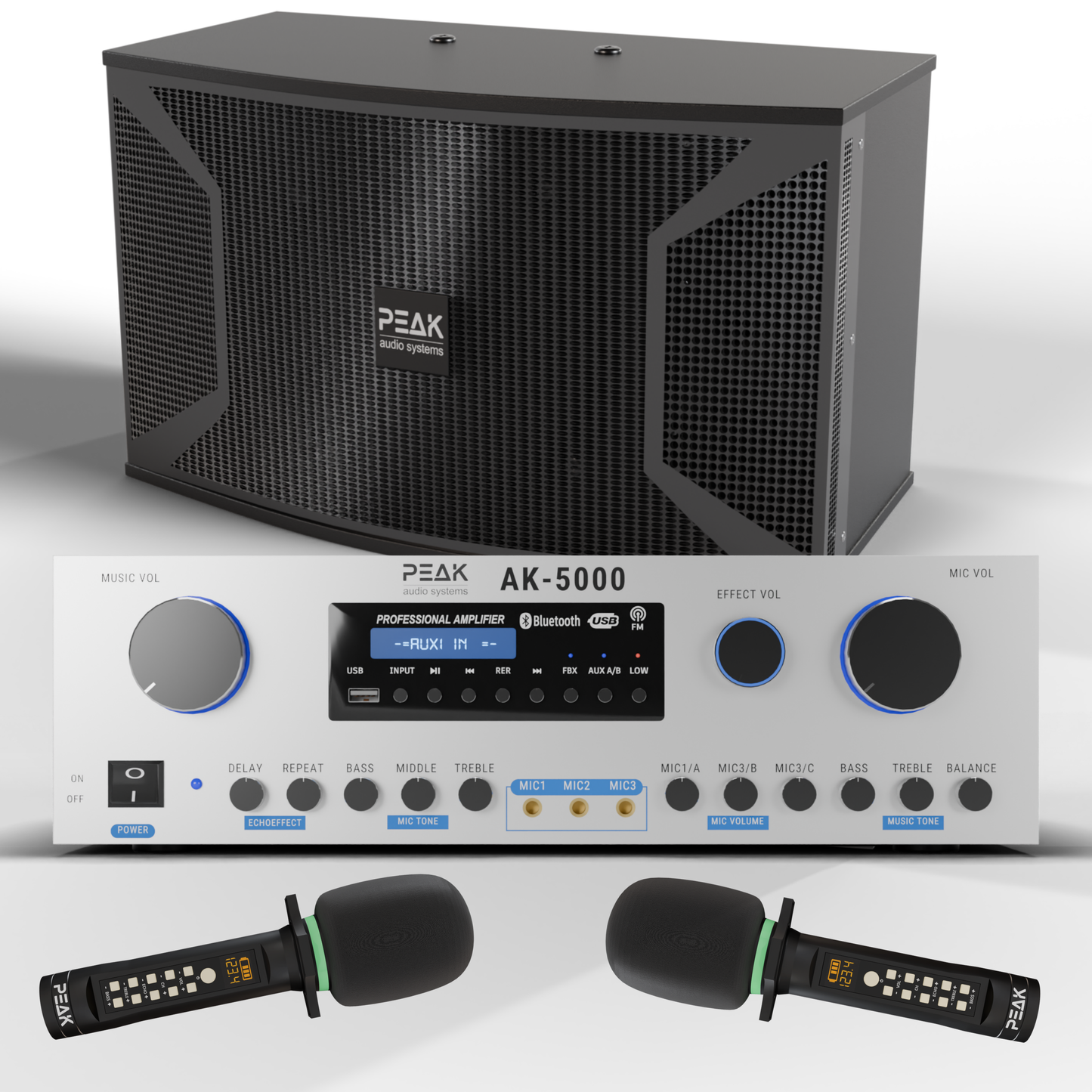 PEAK Karaoke PLATINUM PREMIUM PRESTIGE STAGE III System -4000W