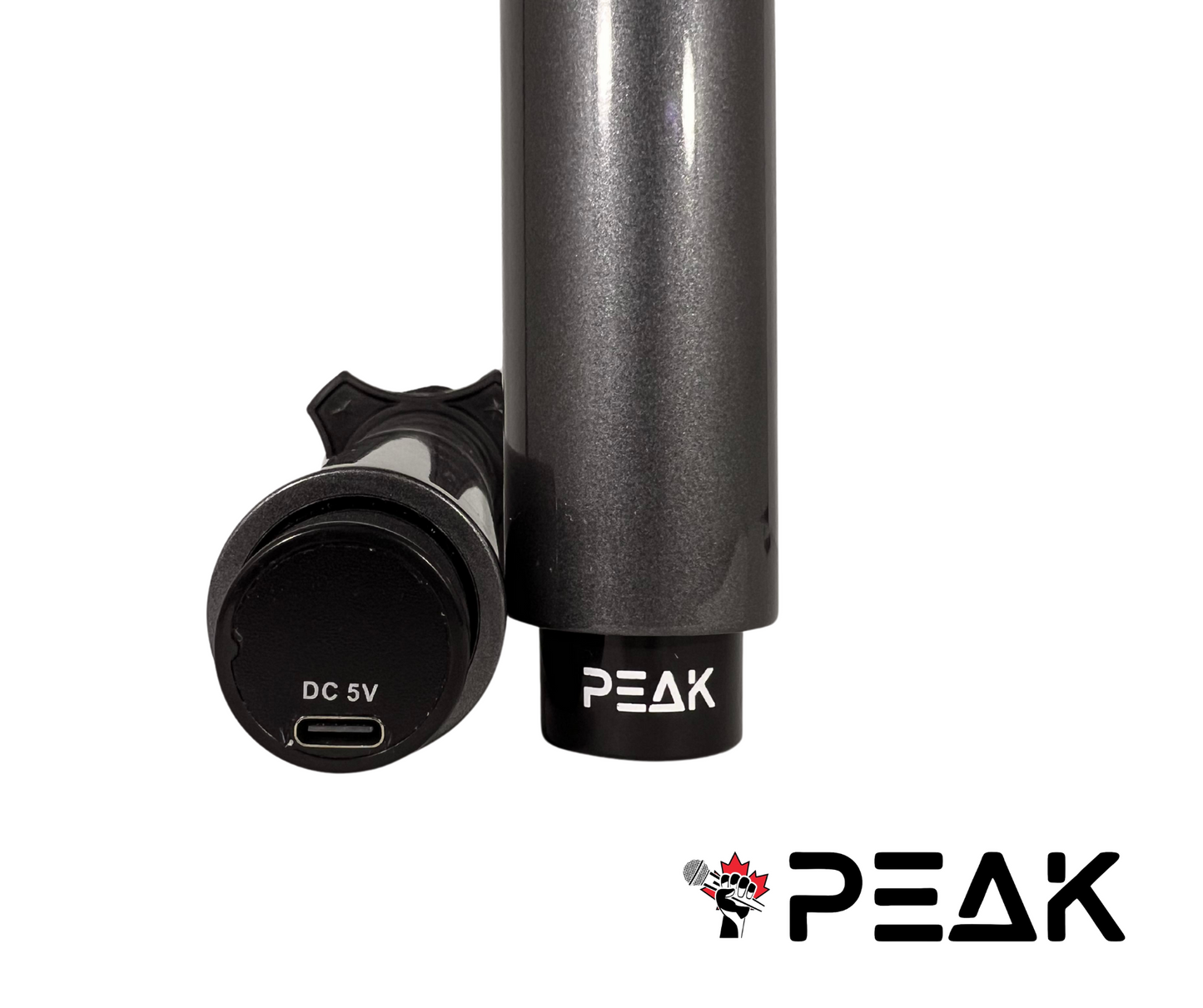 Wireless Proffesional Microphone with Echo and Volume Control