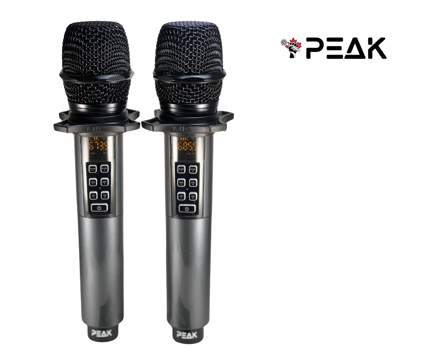 Wireless Proffesional Microphone with Echo and Volume Control