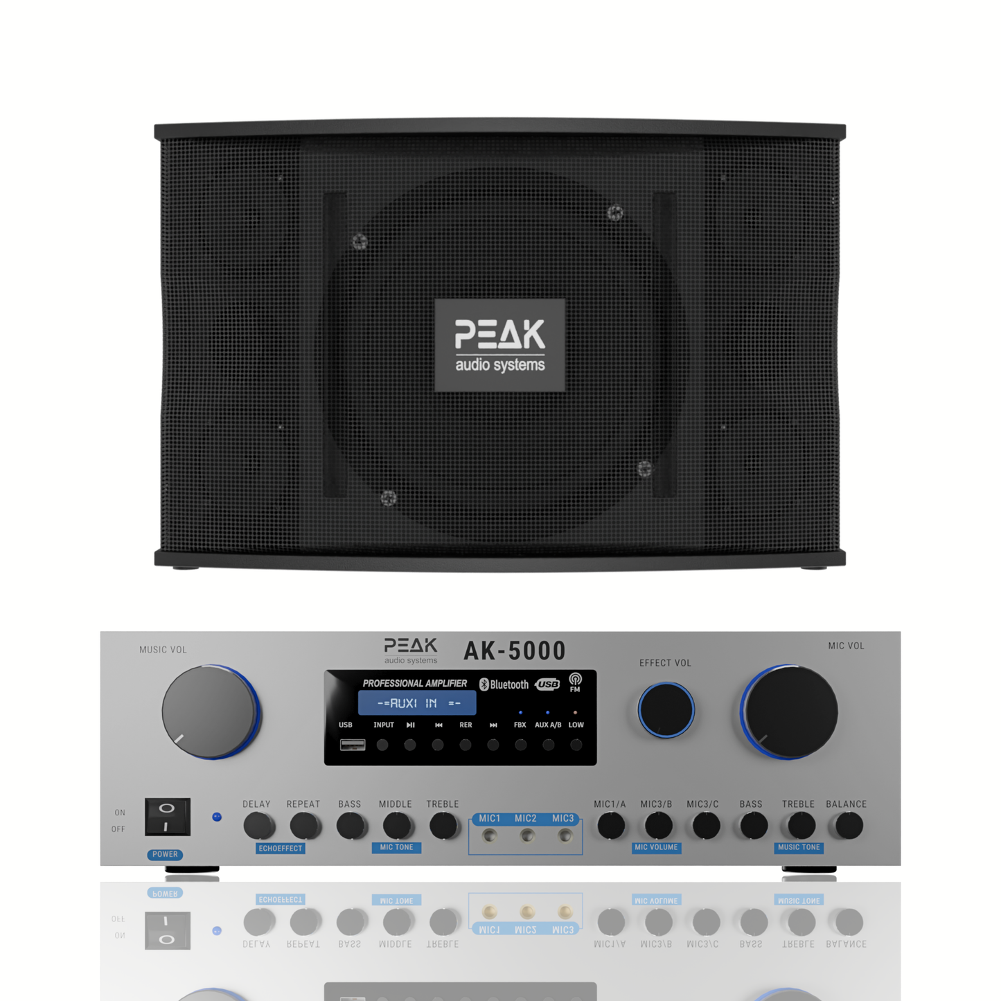 PEAK Karaoke PLATINUM PREMIUM STAGE II WIRELESS System -3000W