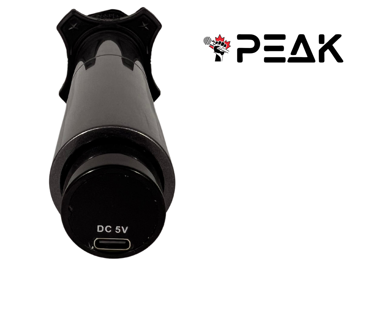 Wireless Proffesional Microphone with Echo and Volume Control