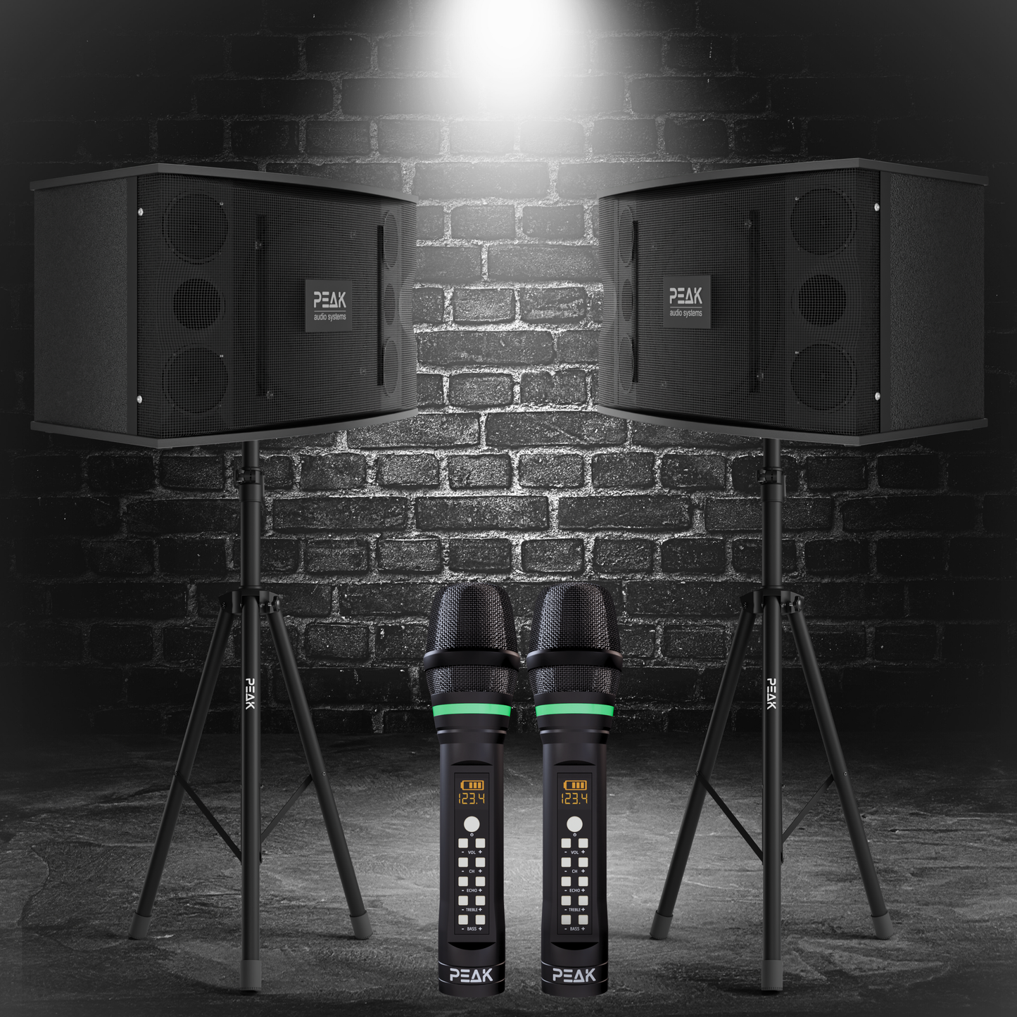 PEAK Karaoke PLATINUM PREMIUM STAGE II WIRELESS System -3000W