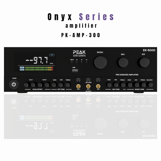 PEAK ONYX Karaoke Bluetooth System w/ PREMIUM Wireless Rechargeable Microphones - 5000W