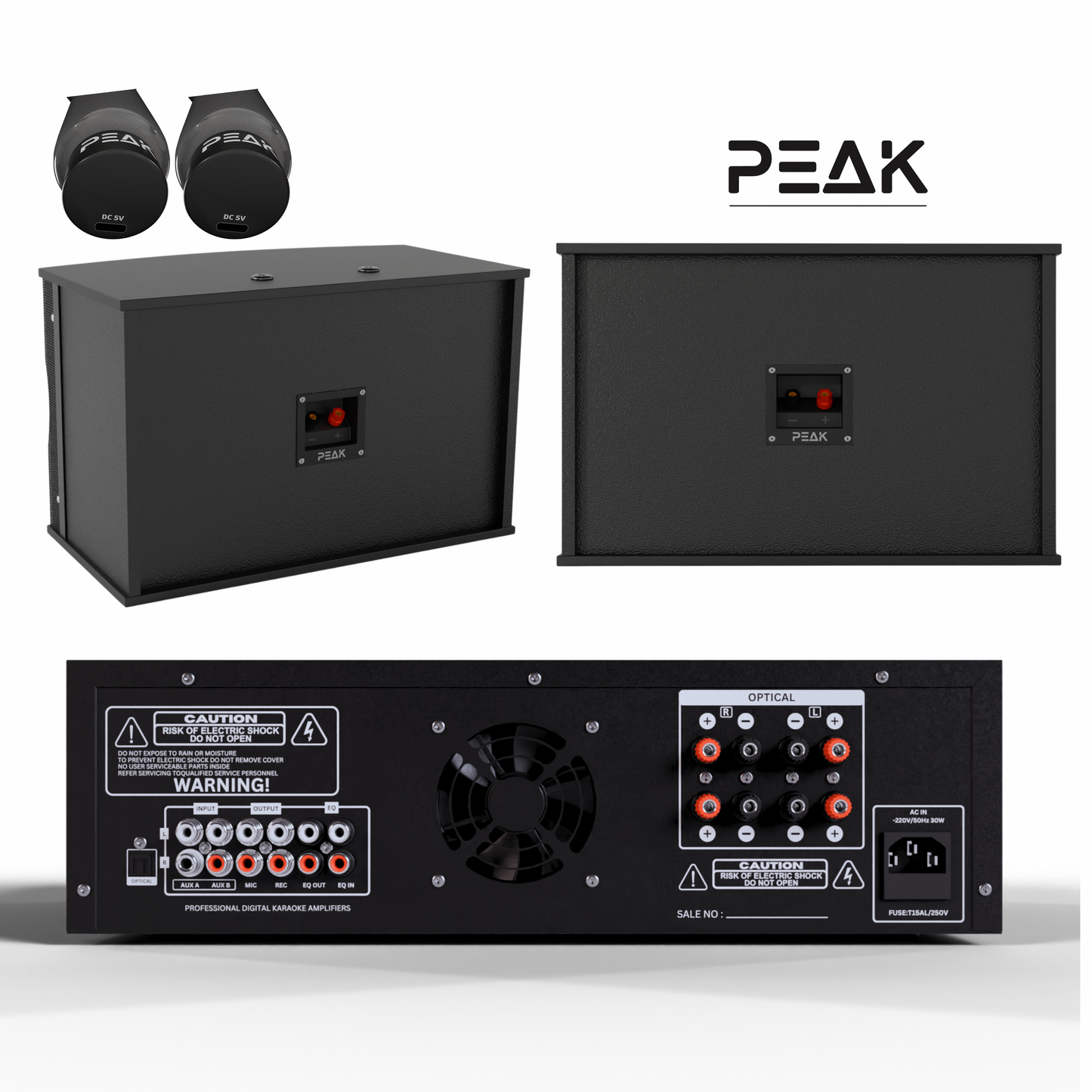 PEAK ONYX PRO Stage II DEFIANCE Karaoke System - 3000W