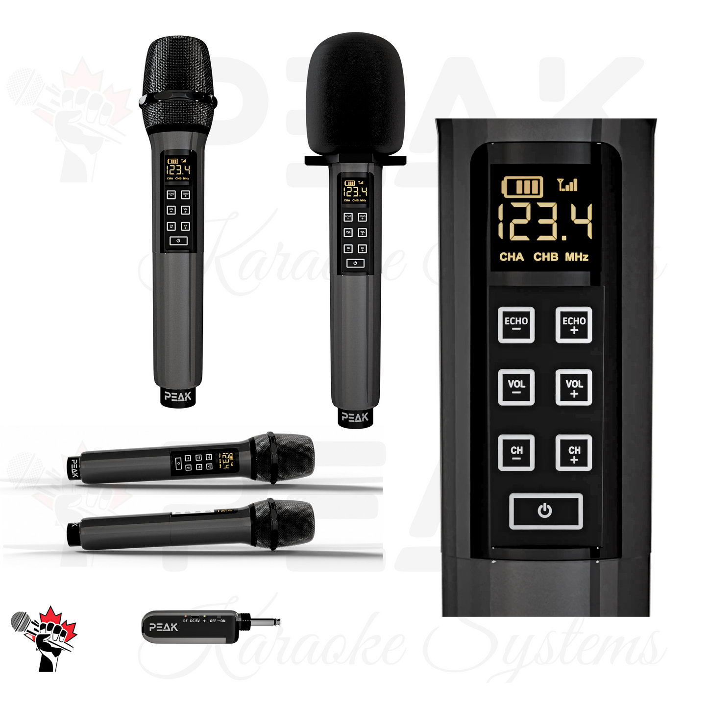 ELITE Pro Stage II - Bluetooth Karaoke System - Echo, EQ, 2000W
