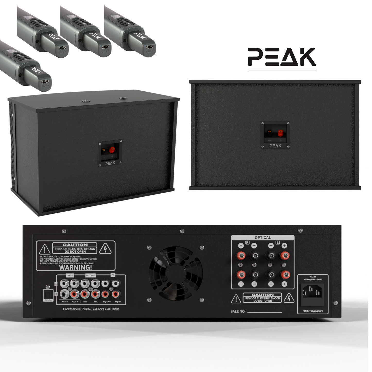 PEAK ONYX PRO Stage II DEFIANCE Karaoke System - 3000W