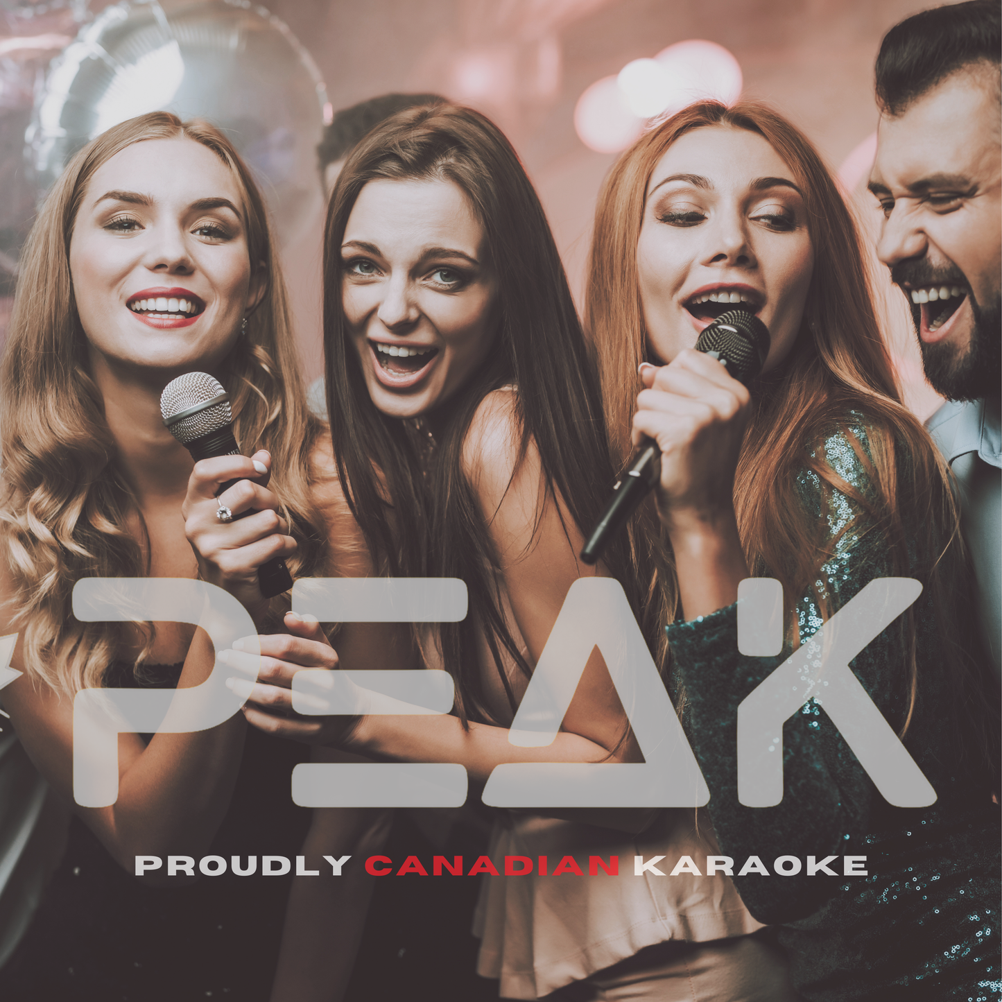 PERFORMANCE SERIES PRO MICROPHONE KIT