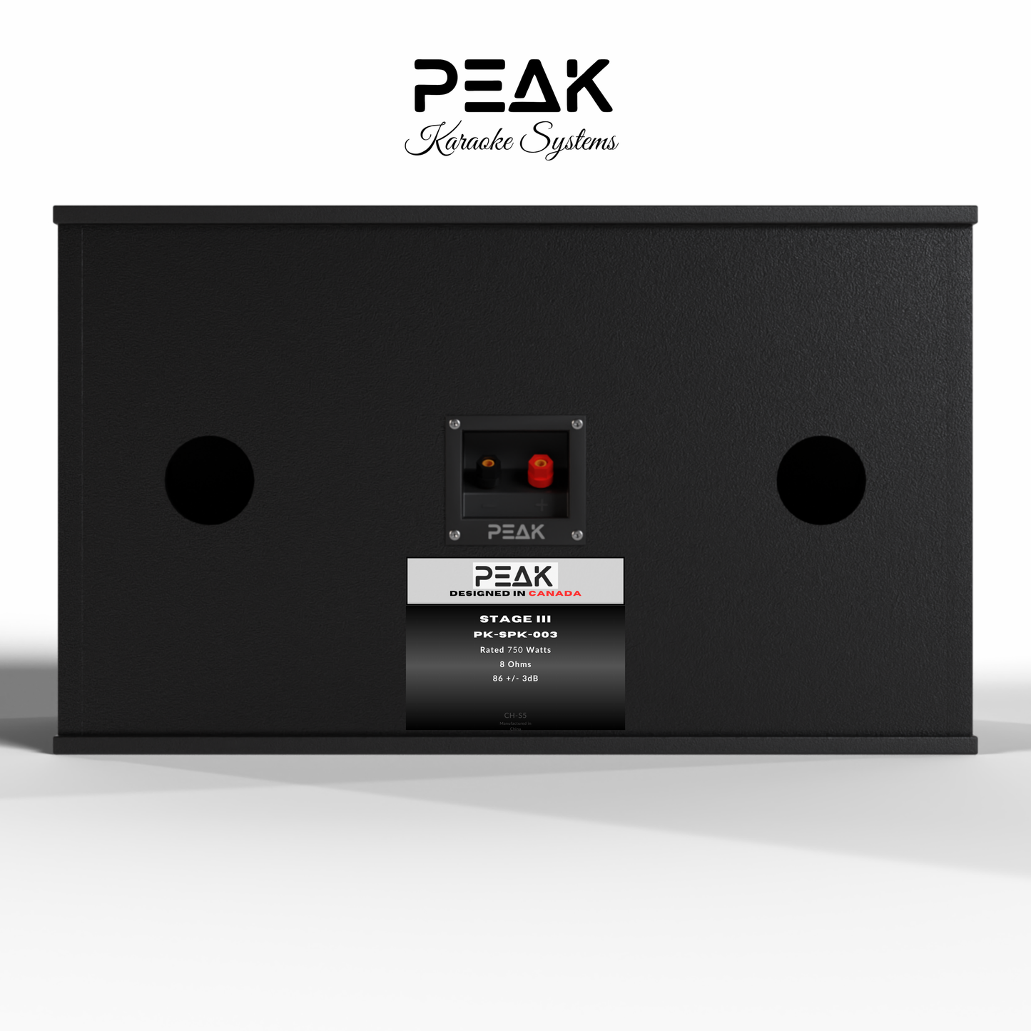 PEAK Karaoke PLATINUM PRO+ LONG RANGE PRESTIGE STAGE III System -4000W