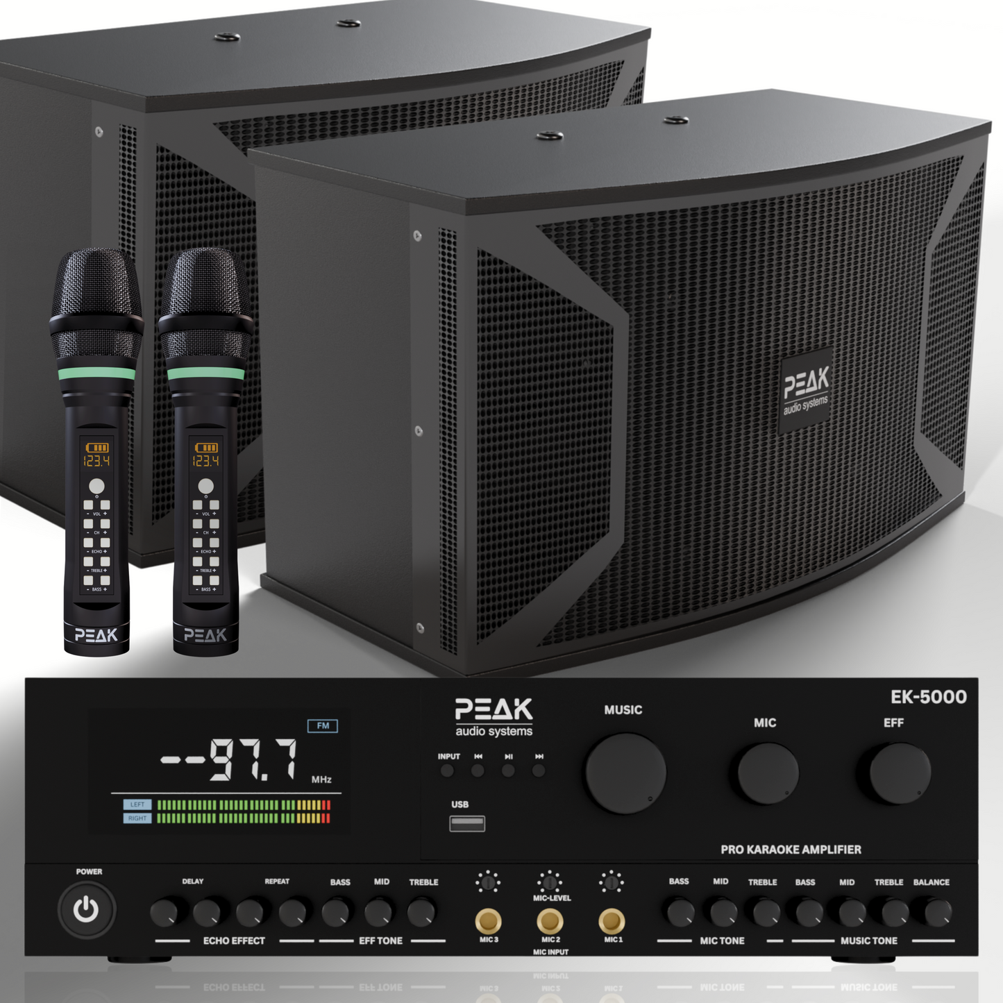 PEAK Karaoke ONYX PREMIUM PRESTIGE STAGE III System -4000W