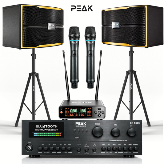 ONYX VOCALSTAR Professional-Grade NAUTALION STAGE IV System -5000W