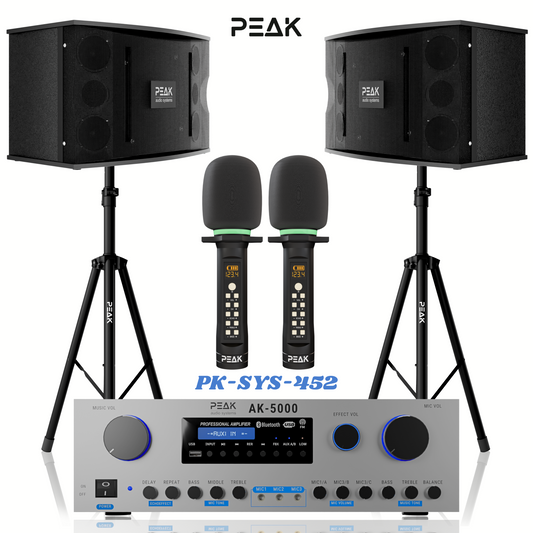 PEAK Karaoke PLATINUM PREMIUM STAGE II WIRELESS System -3000W