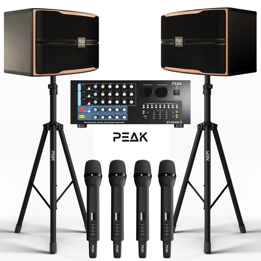 PEAK Karaoke Reference Key-Changer 4 PREMIUM WIRELESS MICROPHONE STAGE IV System -2800W