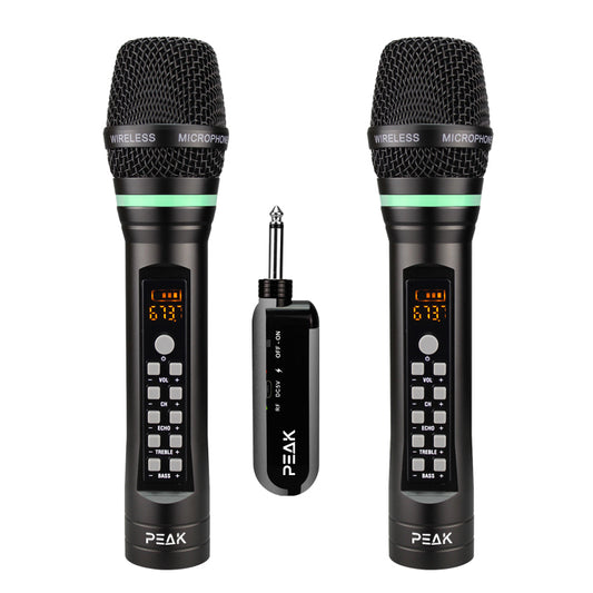 Wireless PREMIUM Microphone with Echo and Volume Control