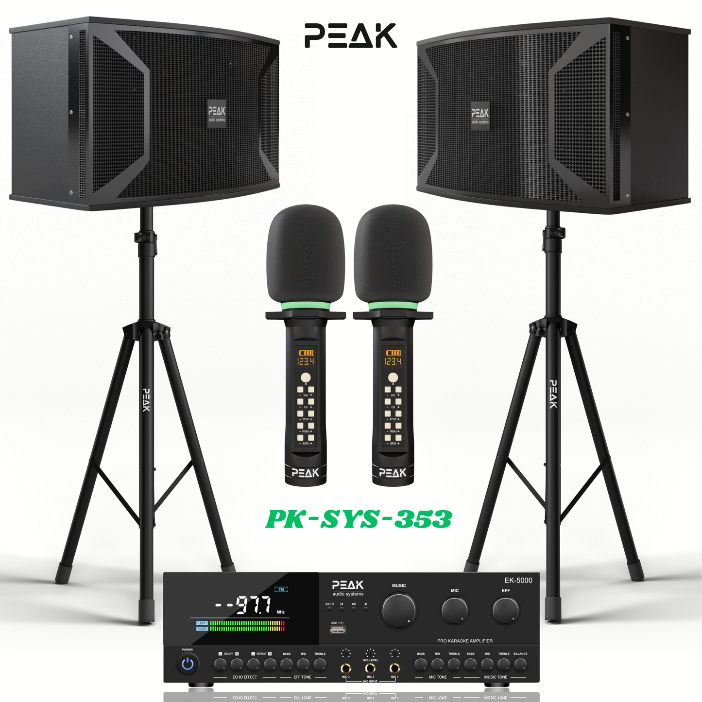 PEAK Karaoke ONYX PREMIUM PRESTIGE STAGE III System -4000W