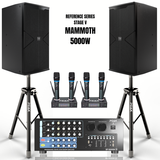 Reference Key-Changer Series | Stage V MAMMOTH PartyHUB+ Professional Karaoke System - 5000W