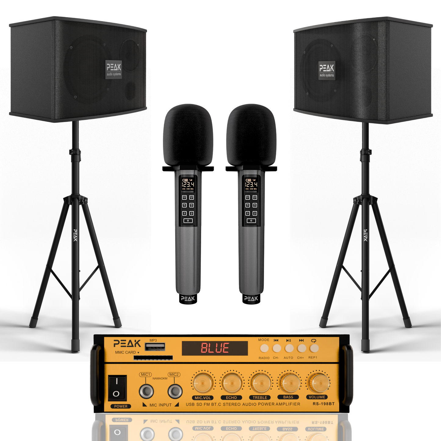 GOLD Pro STAGE I - Bluetooth Karaoke System -600W