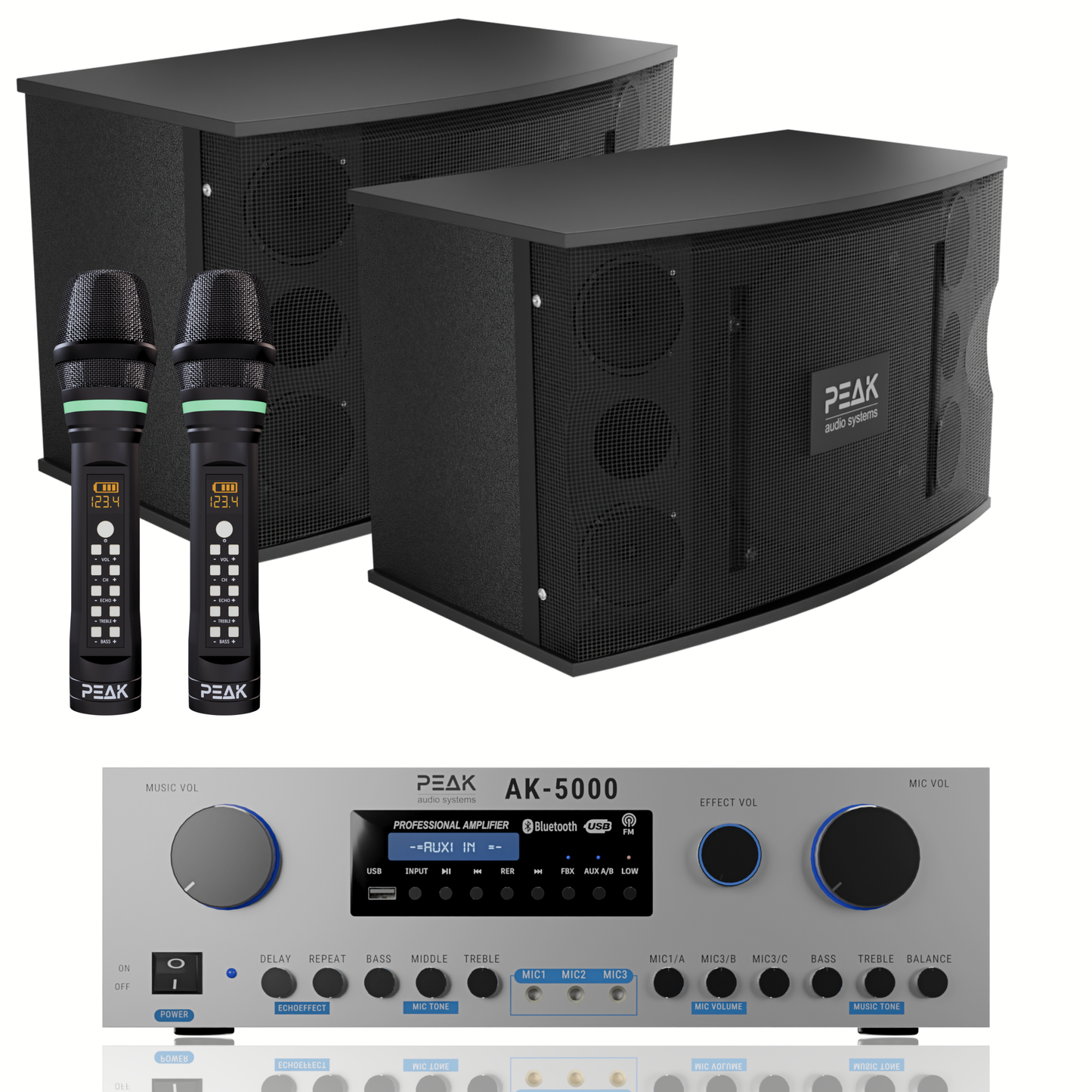 PEAK Karaoke PLATINUM PREMIUM STAGE II WIRELESS System -3000W