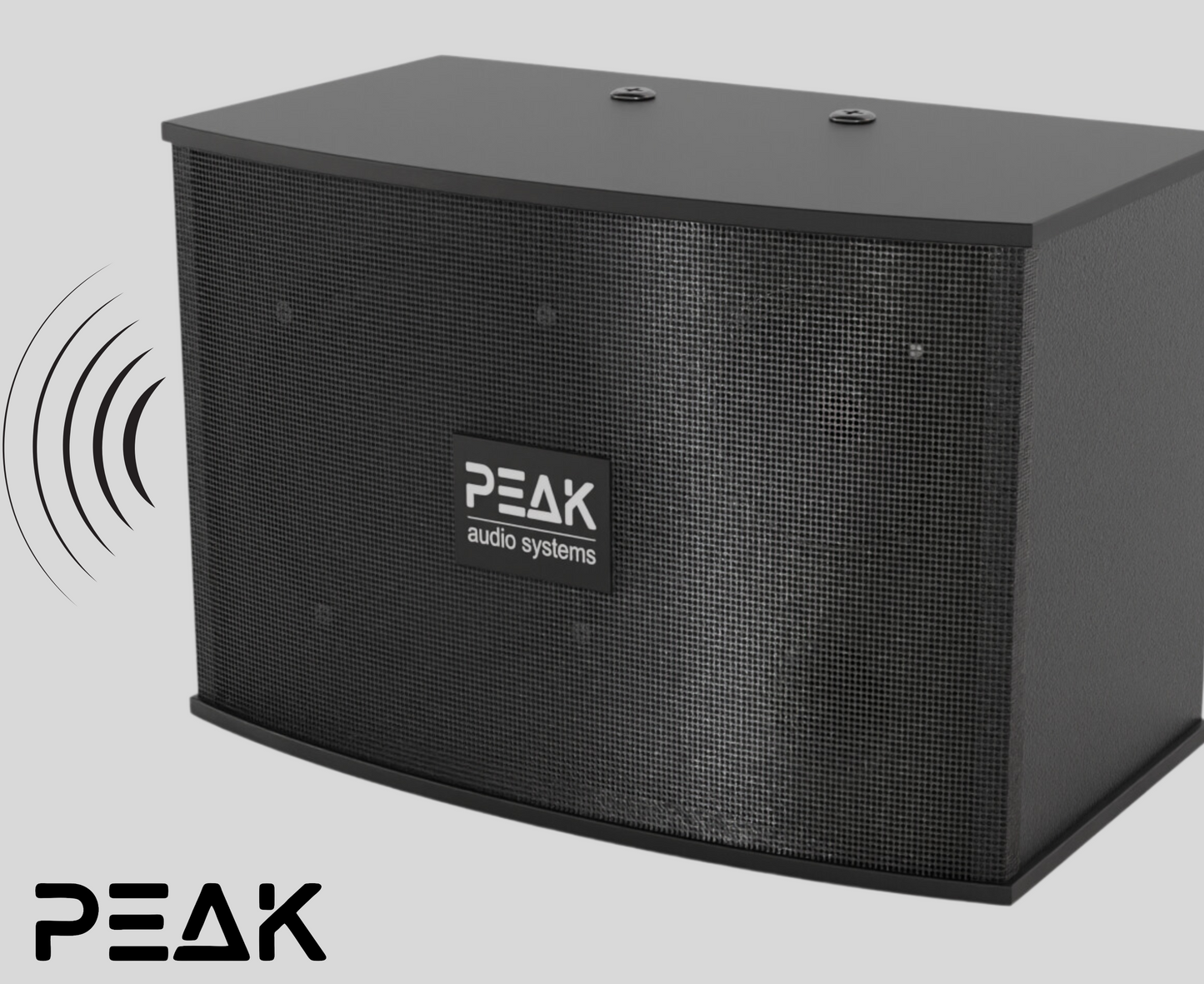 ELITE Premium Stage I System with Echo and EQ- 1200W