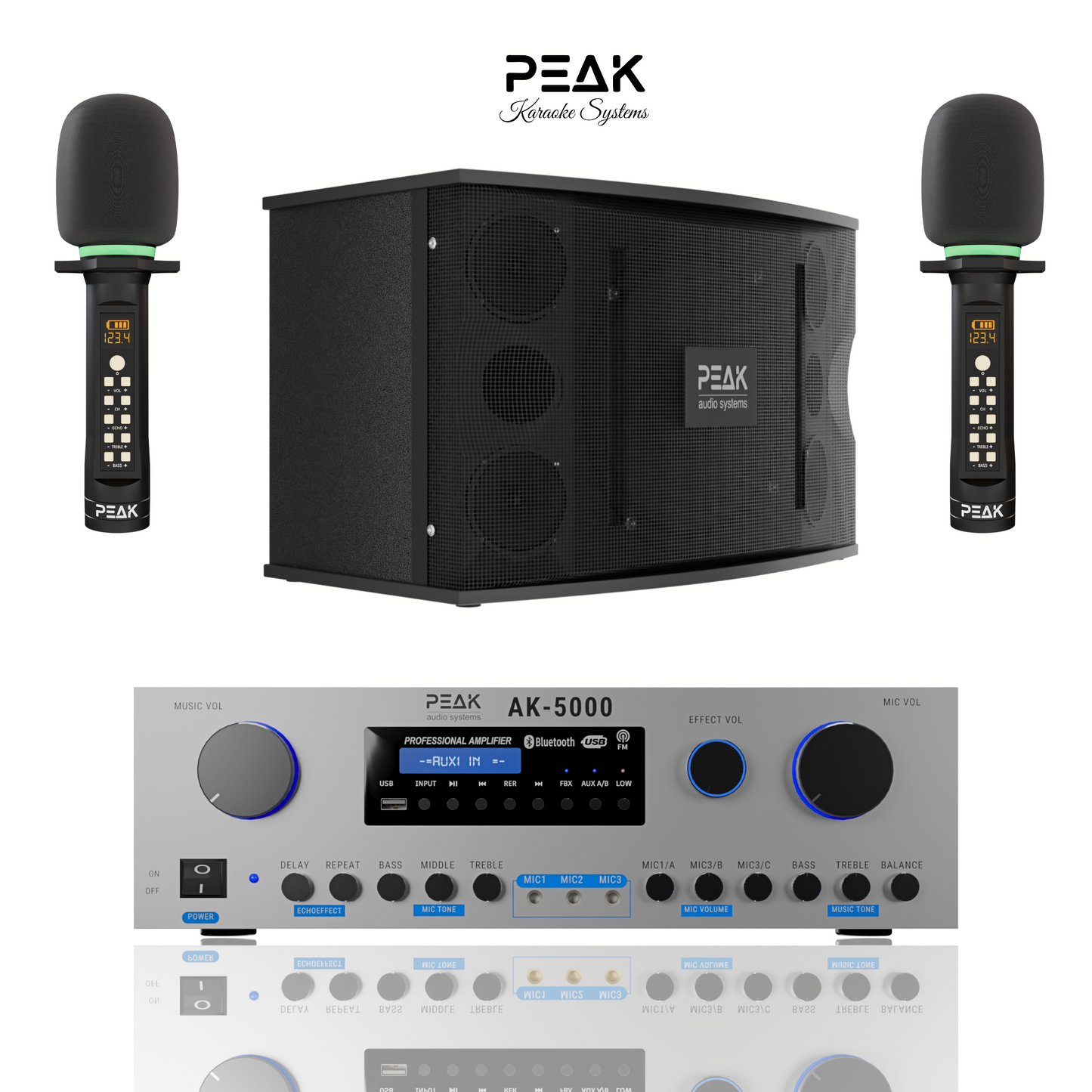 PEAK Karaoke PLATINUM PREMIUM STAGE II WIRELESS System -3000W