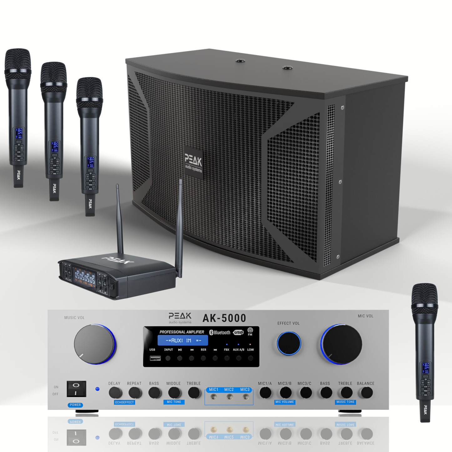PEAK Karaoke PLATINUM PRO+ LONG RANGE PRESTIGE STAGE III System -4000W