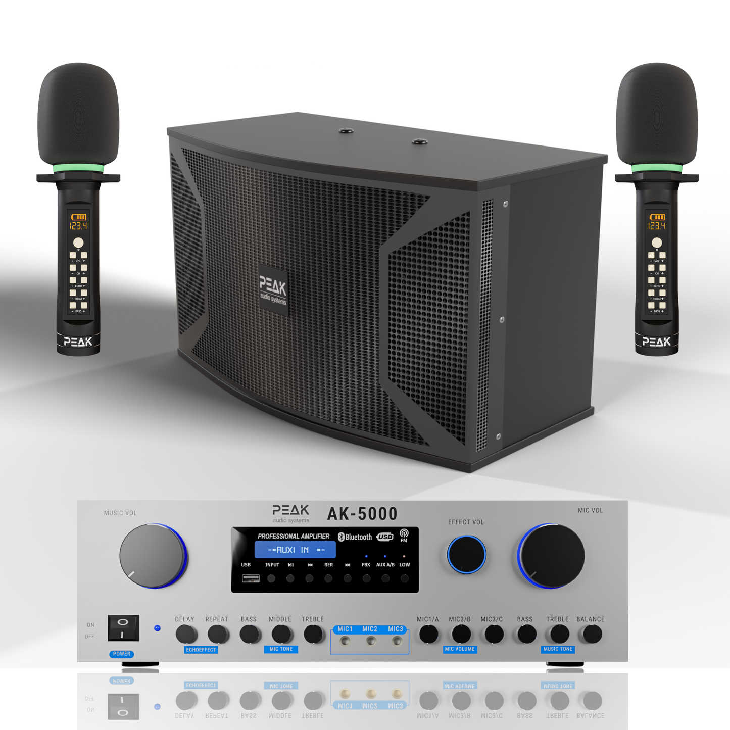 PEAK Karaoke PLATINUM PREMIUM PRESTIGE STAGE III System -4000W