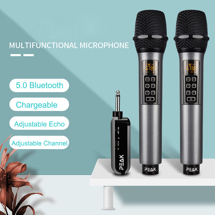 Wireless Proffesional Microphone with Echo and Volume Control