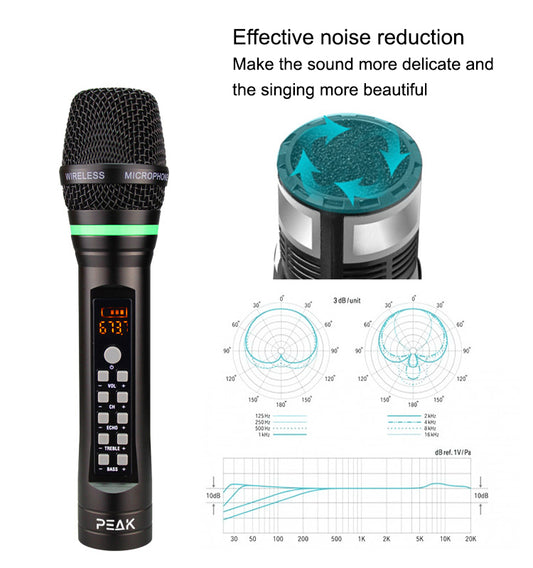Wireless PREMIUM Microphone with Echo and Volume Control