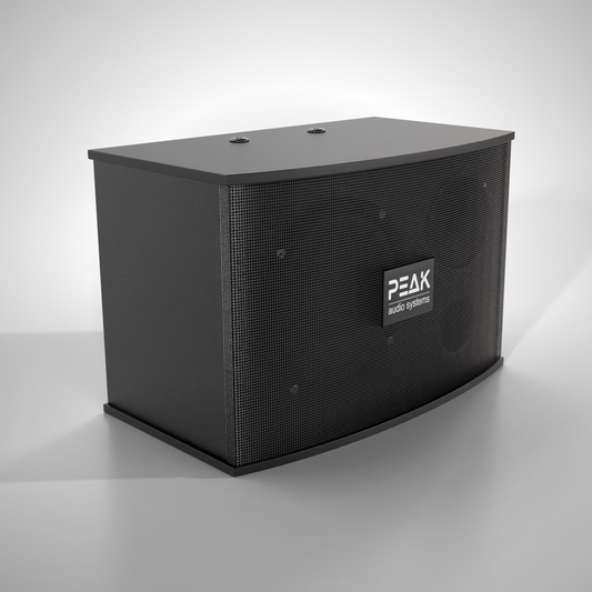 PEAK STAGE I Hi-Fidelity Speakers - 300W (Pair)