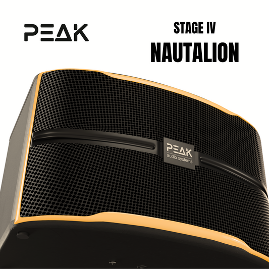 PEAK Karaoke Reference Key-Changer 4 PREMIUM WIRELESS MICROPHONE STAGE IV System -2800W