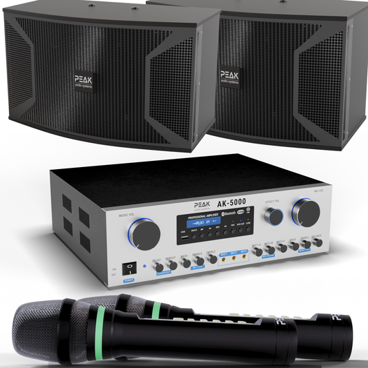 PEAK Karaoke PLATINUM PREMIUM PRESTIGE STAGE III System -4000W