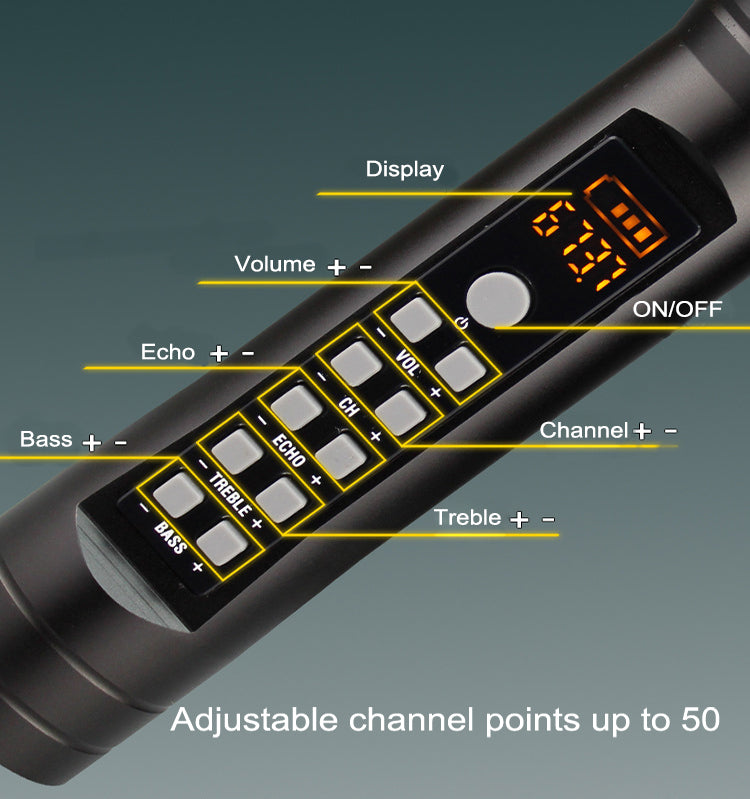 Wireless PREMIUM Microphone with Echo and Volume Control