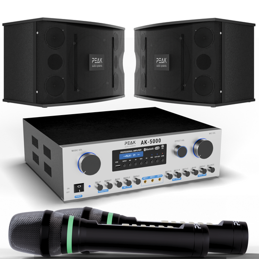 PEAK Karaoke PLATINUM PREMIUM STAGE II WIRELESS System -3000W