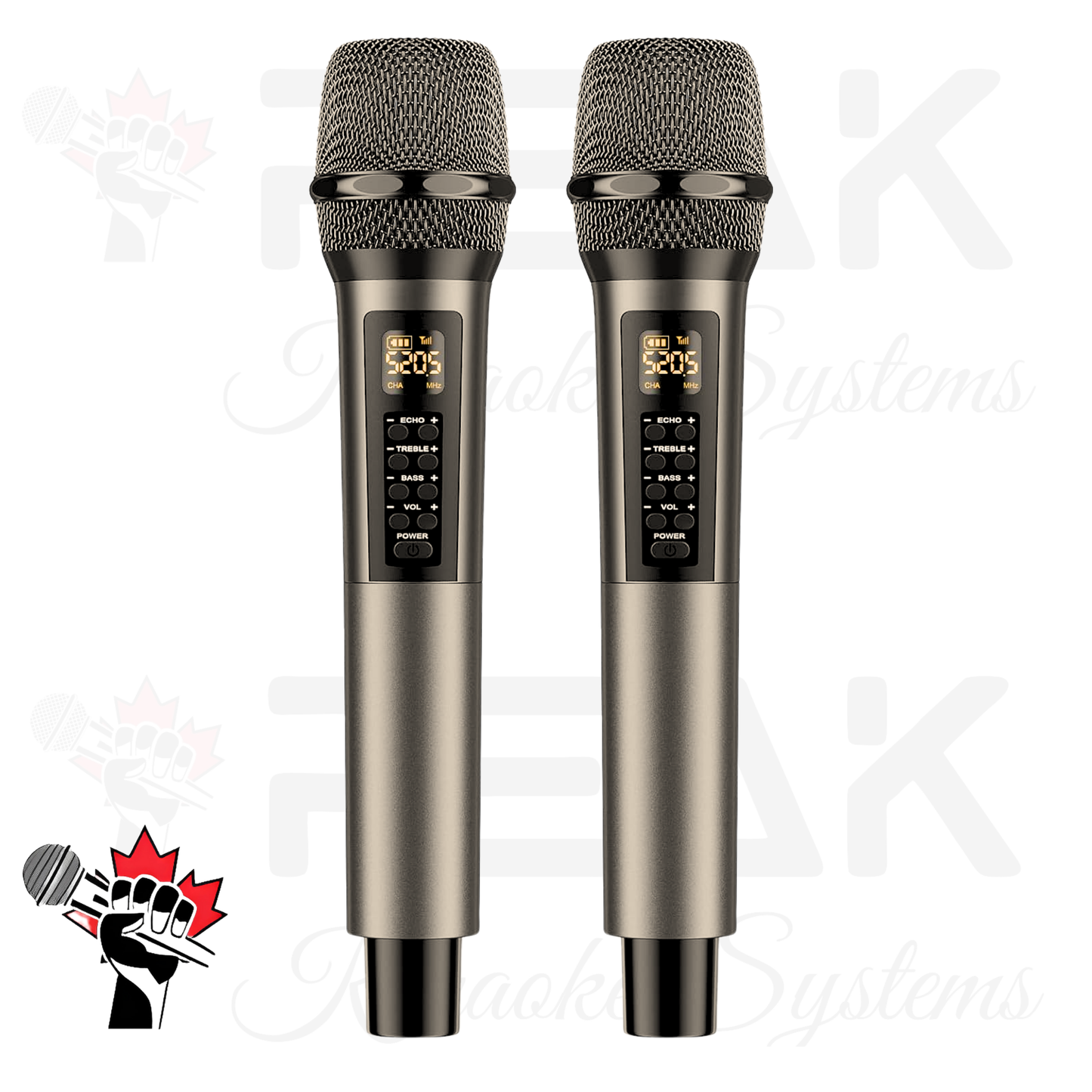 GOLD MAX Stage I - Bluetooth Karaoke System -600W