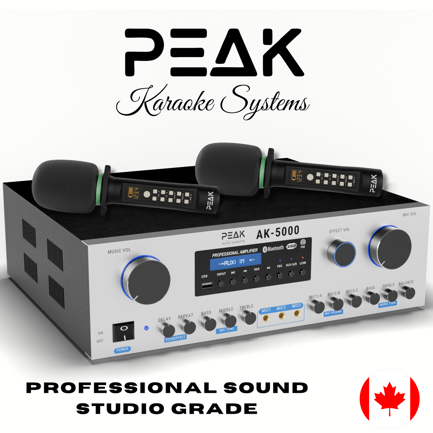 PEAK Karaoke PLATINUM PREMIUM STAGE II WIRELESS System -3000W