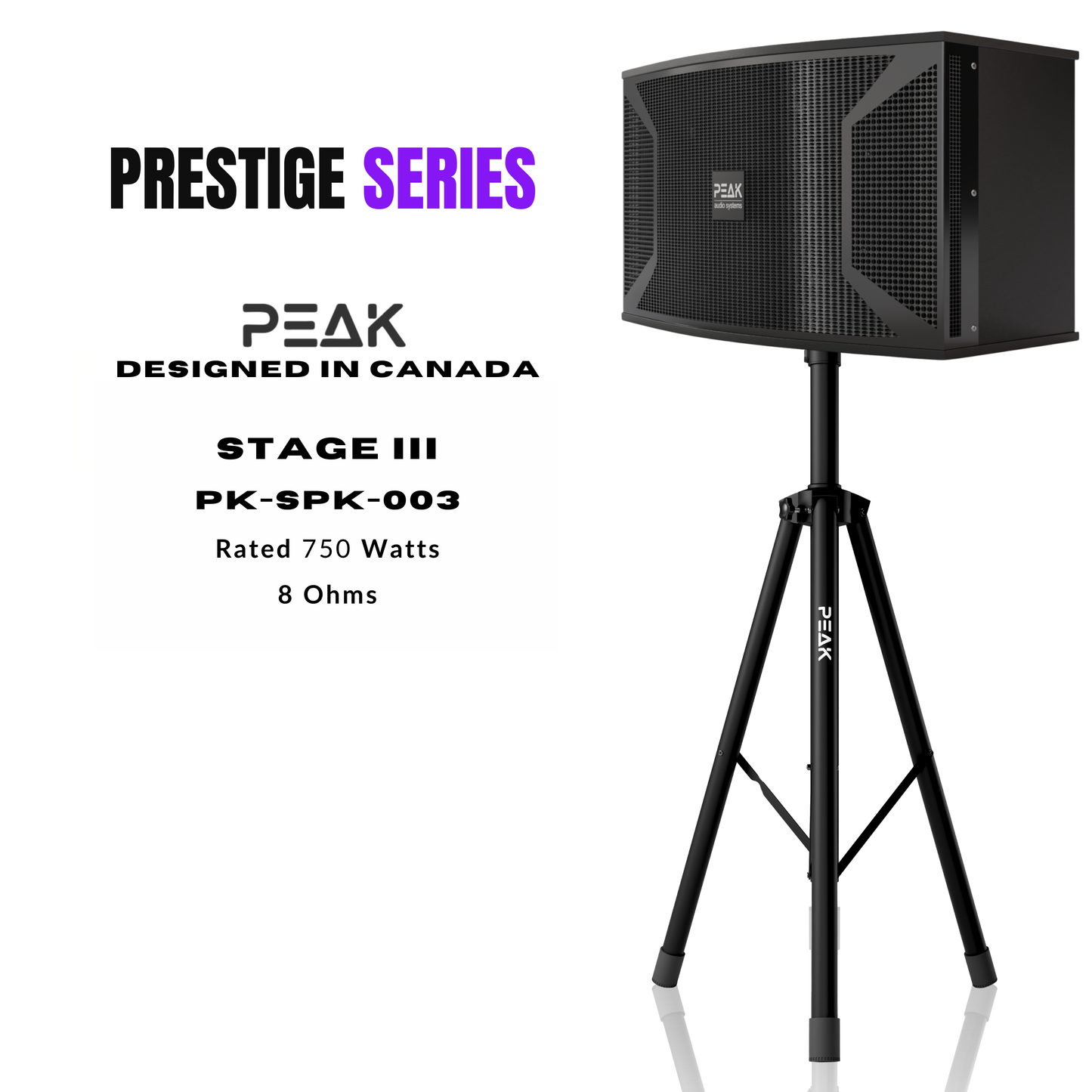 PEAK Karaoke PLATINUM PRO+ LONG RANGE PRESTIGE STAGE III System -4000W
