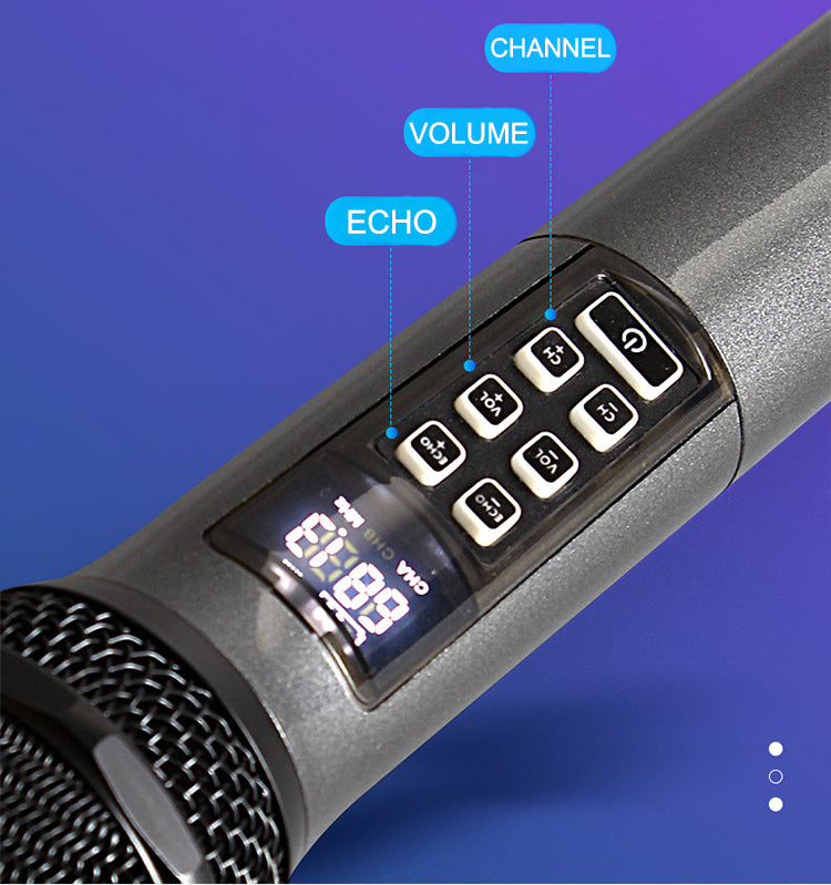 Wireless Proffesional Microphone with Echo and Volume Control