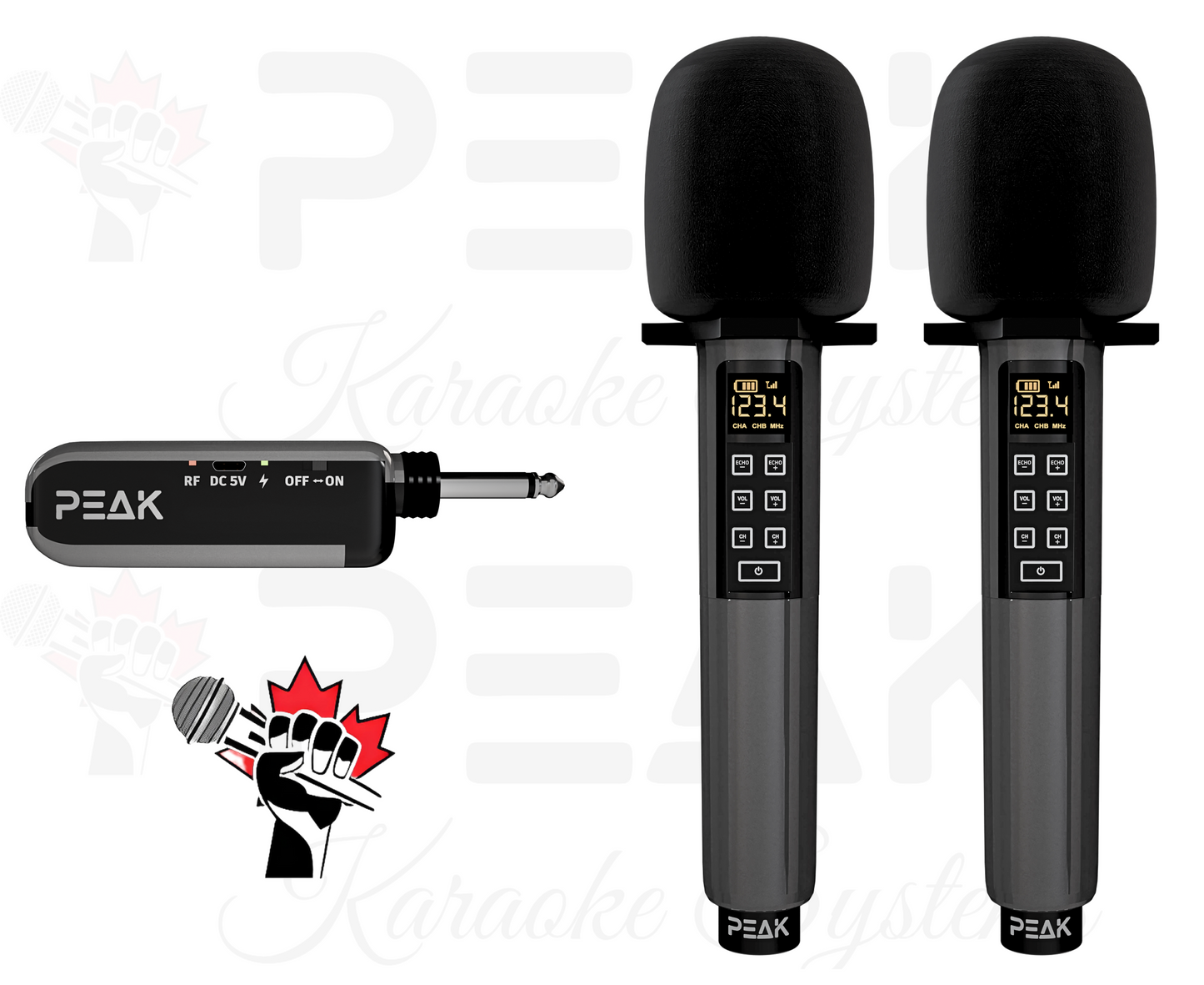 GOLD Pro Stage I - Bluetooth Karaoke System -600W