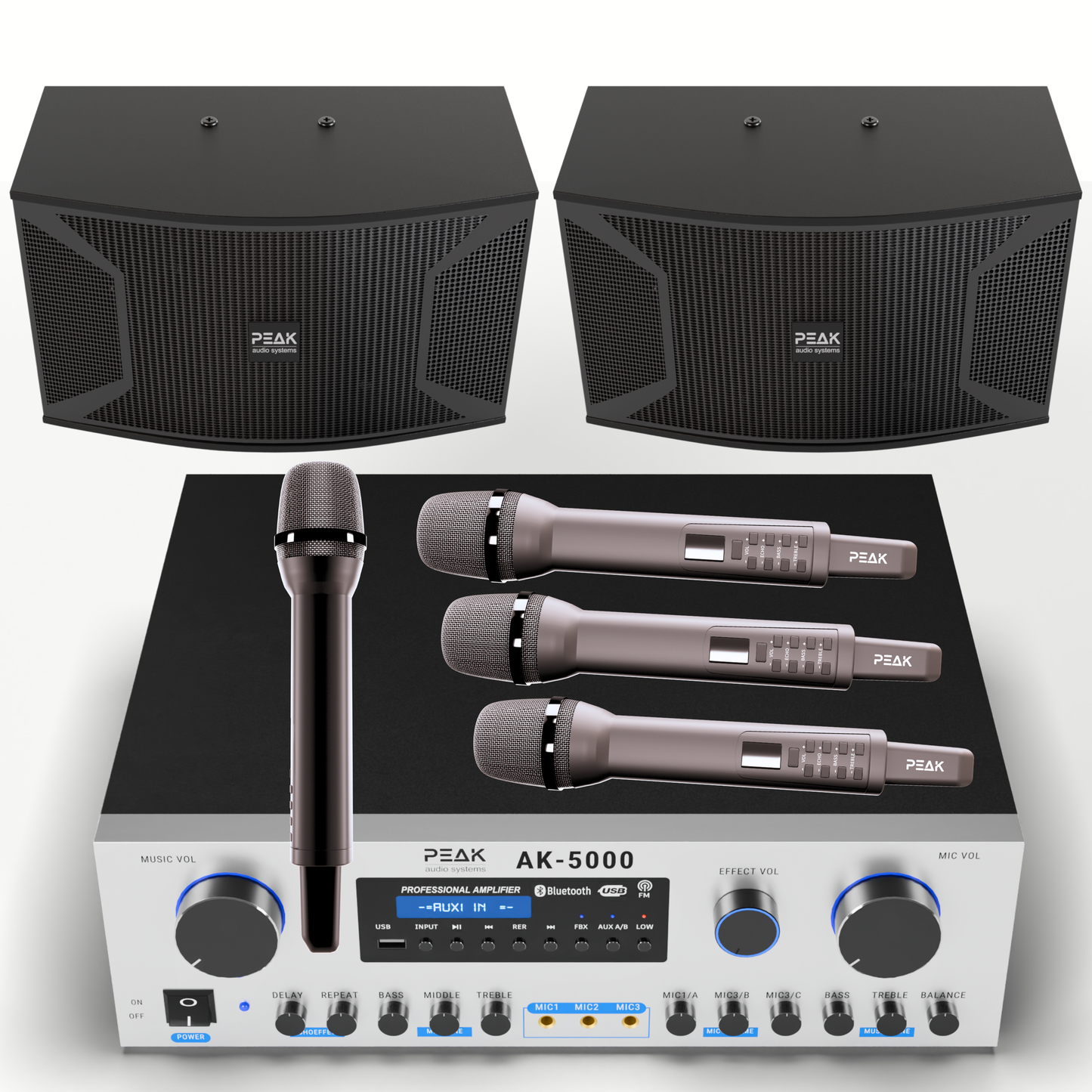 PEAK Karaoke PLATINUM PRO+ LONG RANGE PRESTIGE STAGE III System -4000W