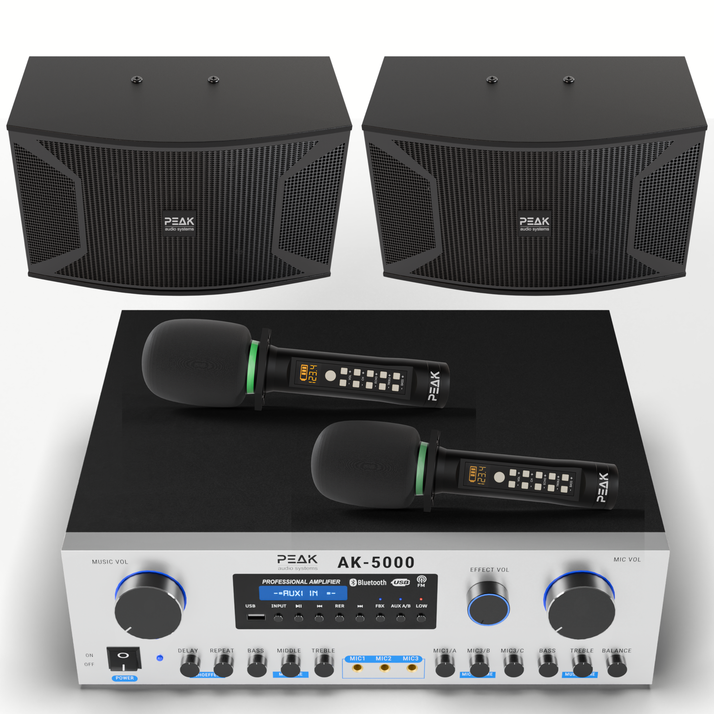 PEAK Karaoke PLATINUM PREMIUM PRESTIGE STAGE III System -4000W