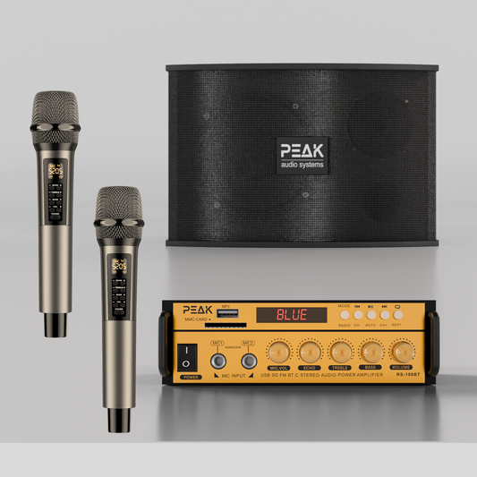 GOLD MAX Stage I - Bluetooth Karaoke System -600W