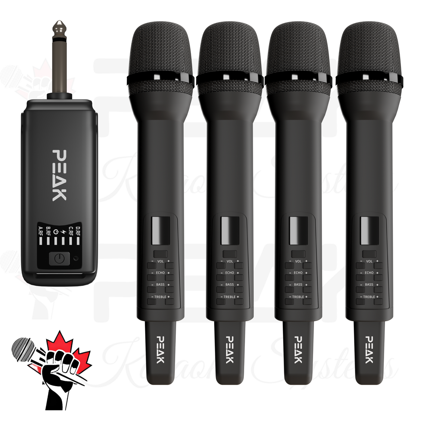 GOLD Pro+ Stage I - Bluetooth Karaoke System -600W