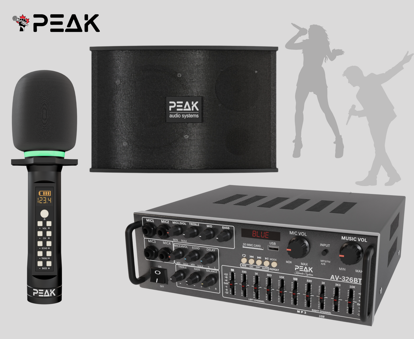 ELITE Premium Stage I System with Echo and EQ- 1200W