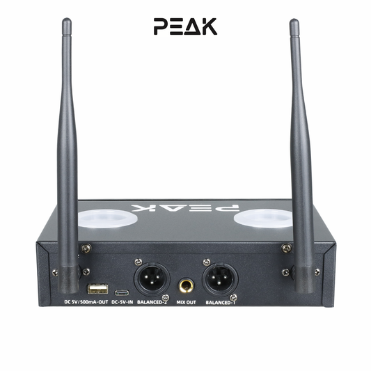 PartyHub Series Wireless Microphones – Professional 2-Mic Performance System with FBX Feedback Eliminator