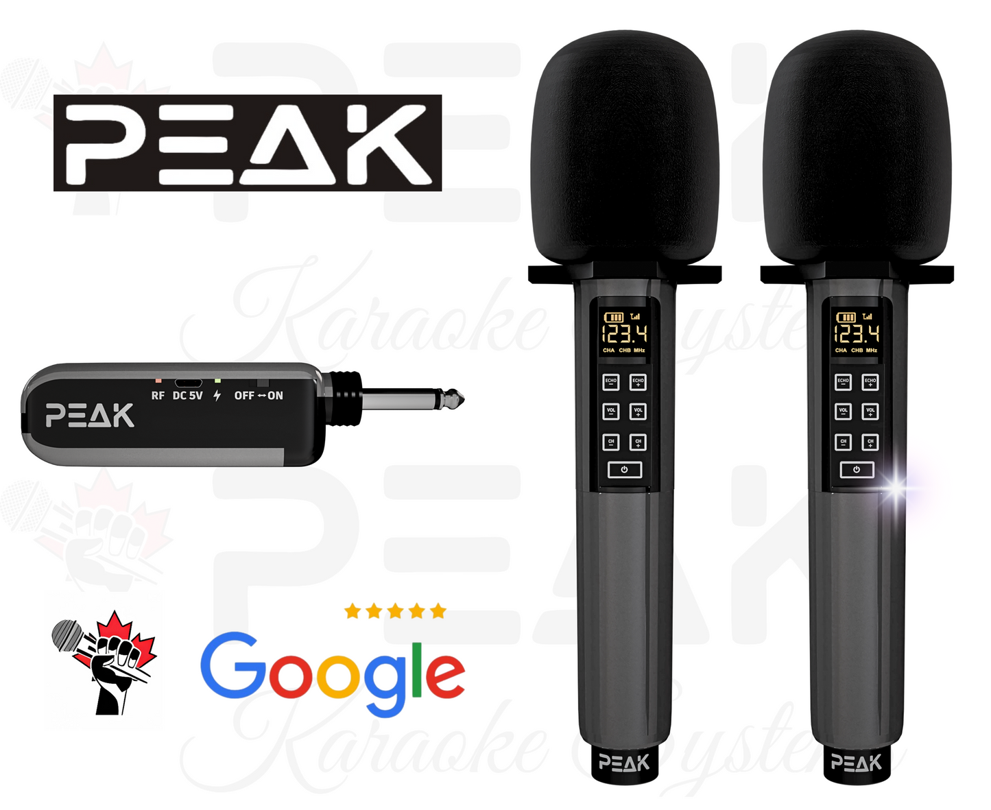 PEAK ONYX PRO Stage II DEFIANCE Karaoke System - 3000W
