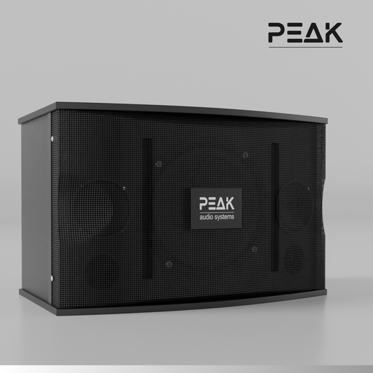 PEAK ONYX PRO Stage II DEFIANCE Karaoke System - 3000W