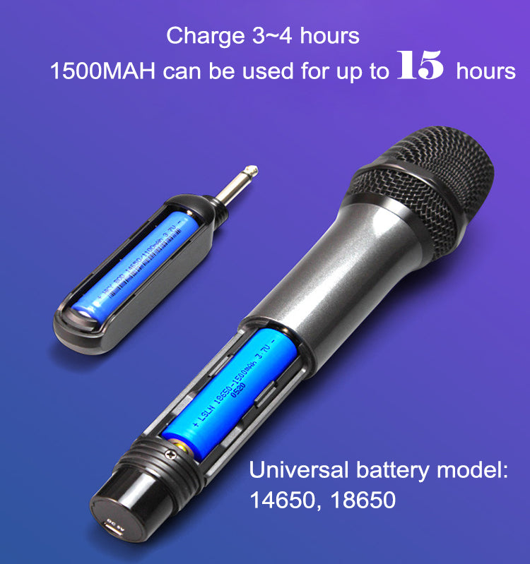 Wireless Proffesional Microphone with Echo and Volume Control