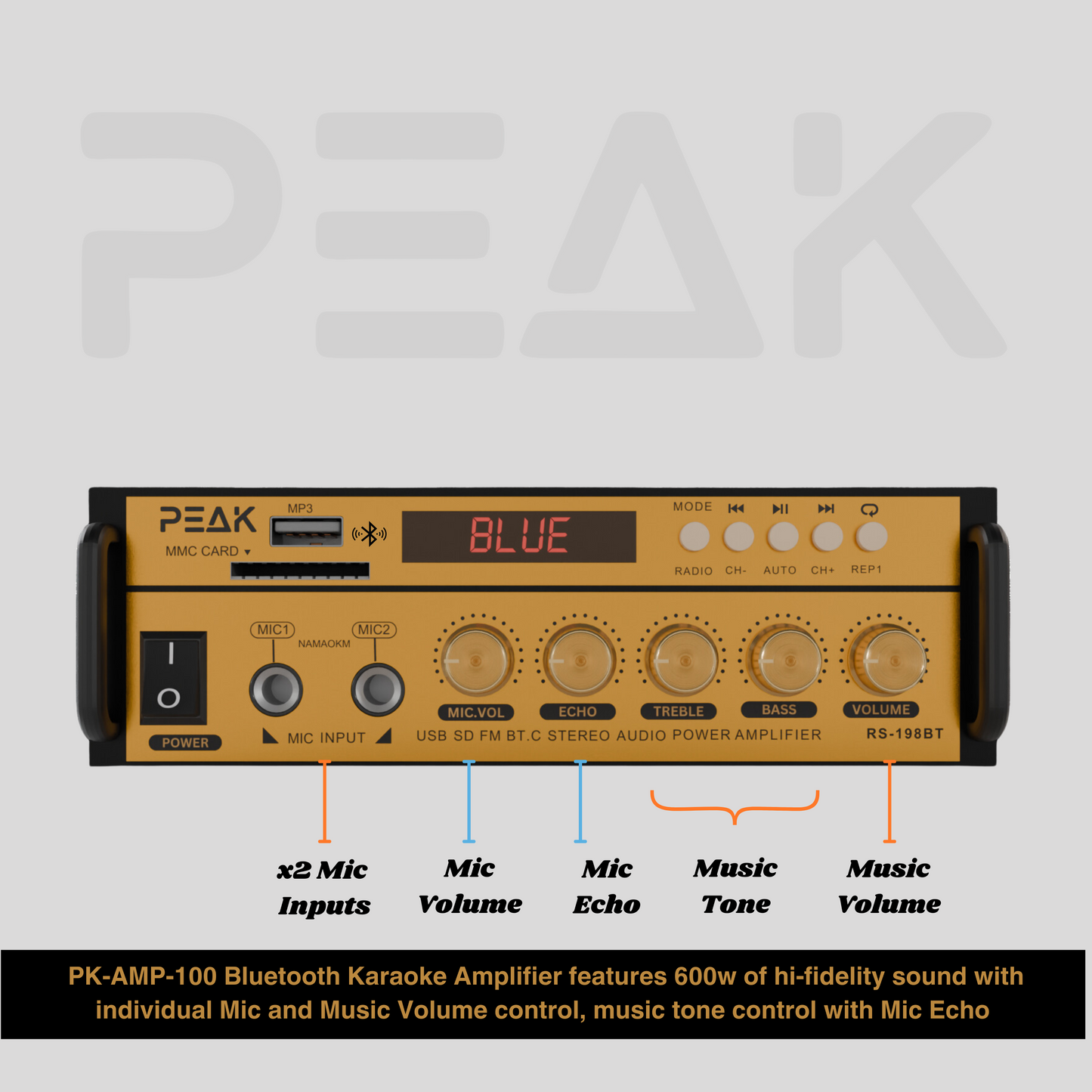 GOLD Pro STAGE I - Bluetooth Karaoke System -600W