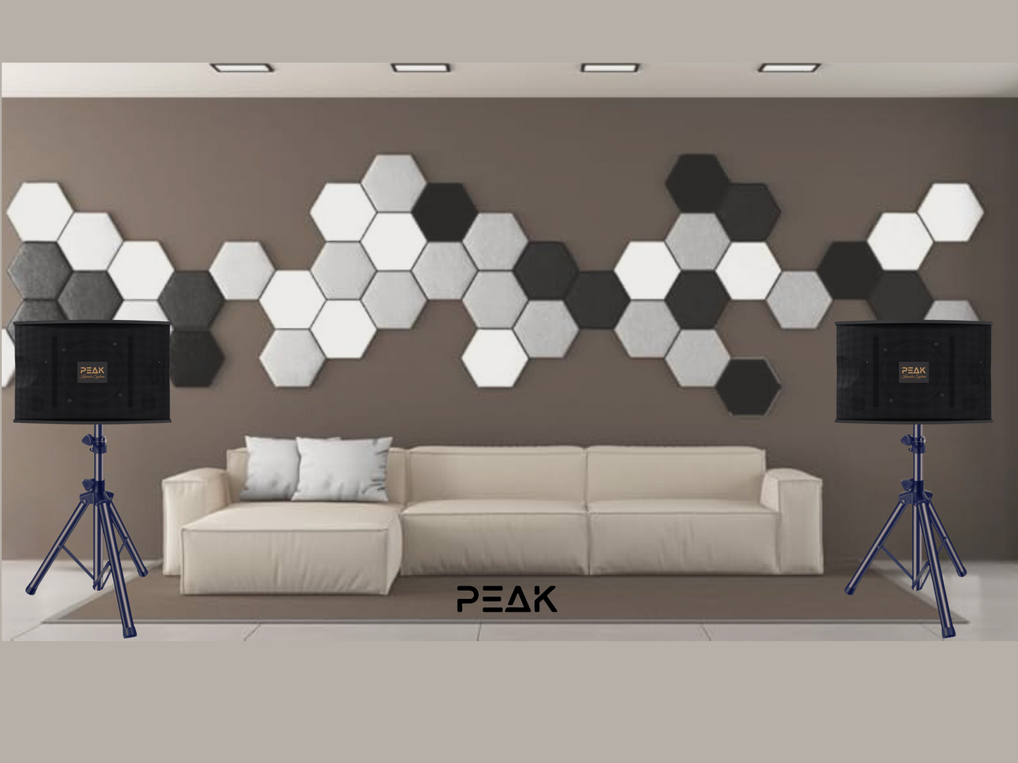 HexaPEAK Acoustic Insulation designed for Karaoke (Grey, 8 panels)